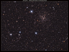 Offener Sternhaufen NGC6819