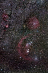 Orion Widefield