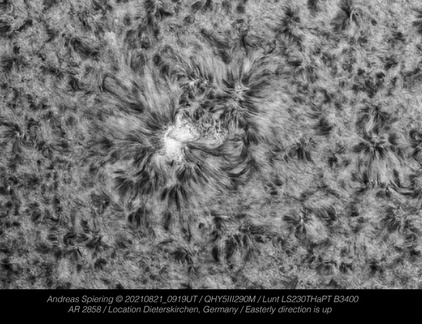 Sonne AR 2858 Detailaufnahmen