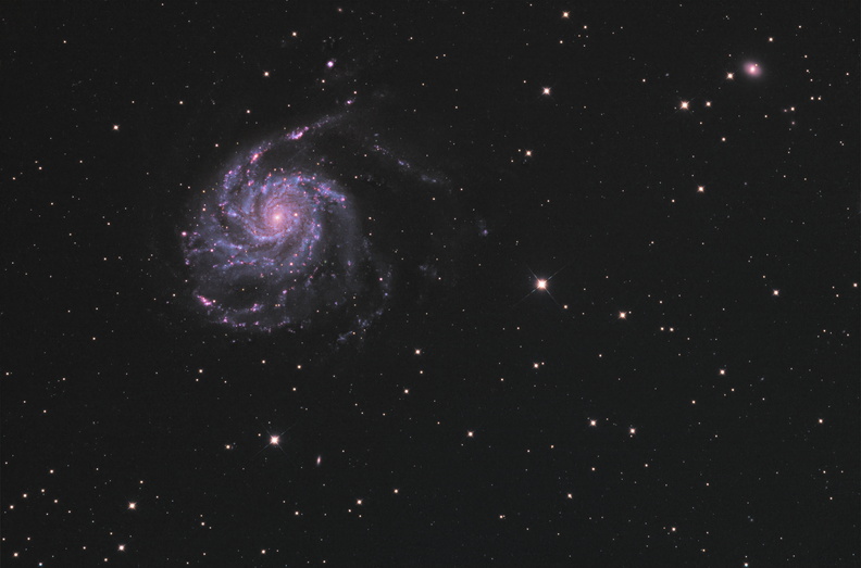 M101-Version1+2psd.jpg