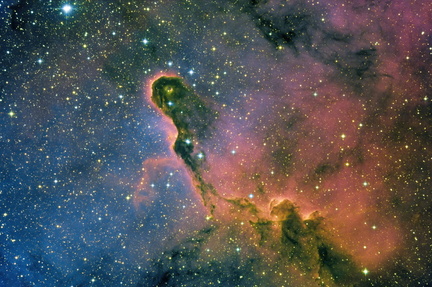IC1396 Elefantenrüsselnebel