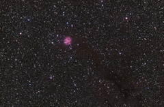 IC5146 - Kokonnebel